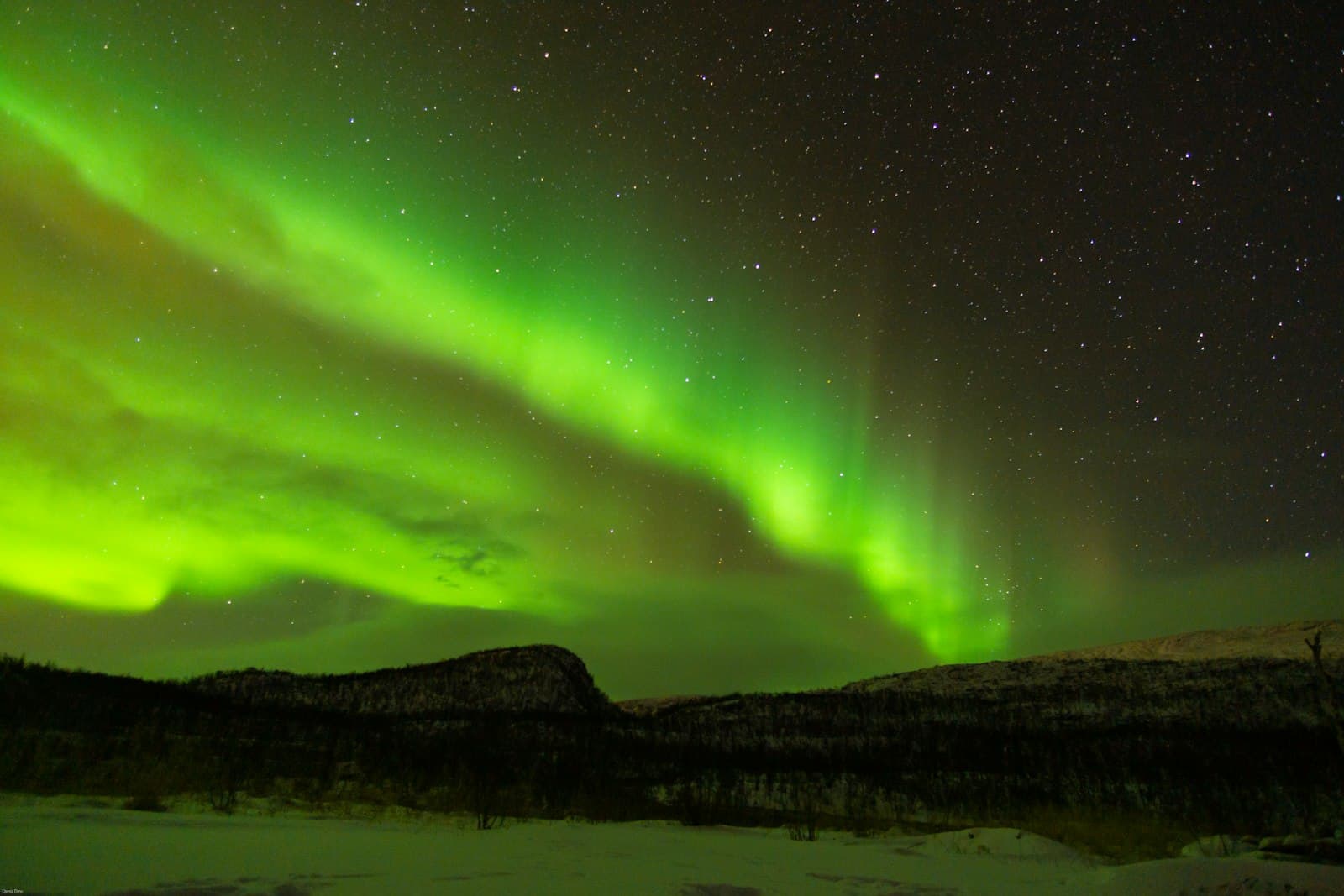 A green aurora across a starry sky above a dark ridge
